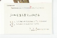 山茱萸藏品圖，第3張