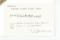 青莢葉藏品圖，第3張