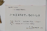 貓兒刺藏品圖，第2張