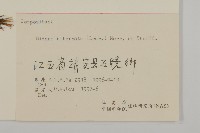 鬼針舅藏品圖，第3張