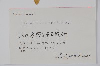 蓮子草藏品圖，第2張