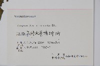 牛膝藏品圖，第2張