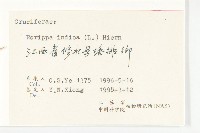 葶藶藏品圖，第3張