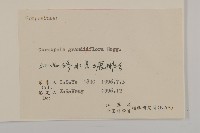 大花金雞菊藏品圖，第3張