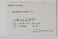 野莧菜藏品圖，第2張