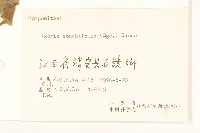 抱莖苦菜藏品圖，第3張