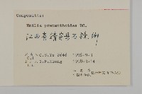 小葉一點紅藏品圖，第3張