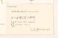 大丁草藏品圖，第3張