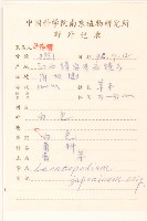 薄雪火絨草藏品圖，第2張