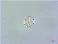 登錄號:S062164藏品圖，第3張