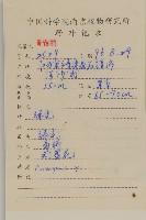 大金雞菊藏品圖，第2張