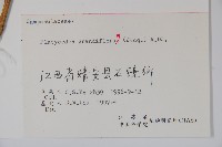 桔梗藏品圖，第2張