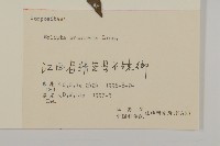 鱧腸藏品圖，第3張