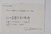 爵床、六角英藏品圖，第2張