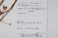 登錄號:S062292藏品圖，第2張