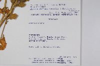 登錄號:S062294藏品圖，第2張