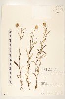 登錄號:S062301藏品圖，第1張