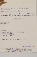 登錄號:S062309藏品圖，第2張