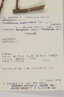 登錄號:S062311藏品圖，第2張