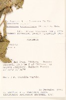 登錄號:S062320藏品圖，第2張