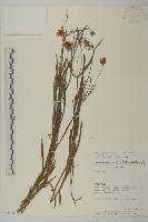 登錄號:S062321藏品圖，第1張