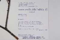 登錄號:S062328藏品圖，第2張