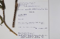 登錄號:S062332藏品圖，第2張