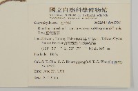 臺灣瞿麥藏品圖，第2張