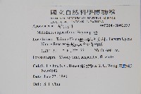 山橙藏品圖，第2張