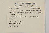 抱莖籟簫藏品圖，第2張