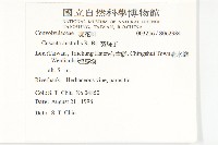 菟絲子藏品圖，第2張