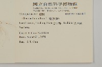 藜、灰藜藏品圖，第2張