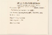 銀膠菊藏品圖，第2張