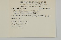 變葉藜藏品圖，第2張