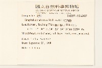 紅面番藏品圖，第2張