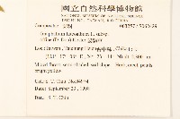 鼠麴草藏品圖，第2張