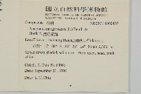 抱莖籟簫藏品圖，第2張