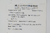 青葙藏品圖，第2張