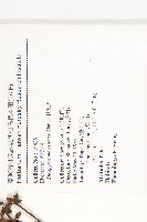 山紅柿藏品圖，第2張