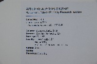 呂宋莢迷藏品圖，第2張