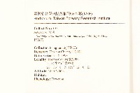 一枝黃花藏品圖，第2張