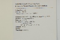 佩羅特木藏品圖，第2張