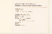 白頂飛蓬藏品圖，第2張