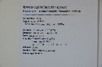 著生珊瑚樹藏品圖，第2張