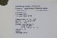 鐵冬青藏品圖，第2張