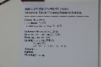 裡白忍冬、紅腺忍冬藏品圖，第2張