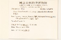 鼠麴草藏品圖，第2張