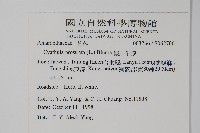 假川牛膝藏品圖，第2張