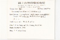 蘄艾、芙蓉菊藏品圖，第2張