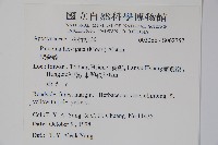 爬森藤藏品圖，第2張